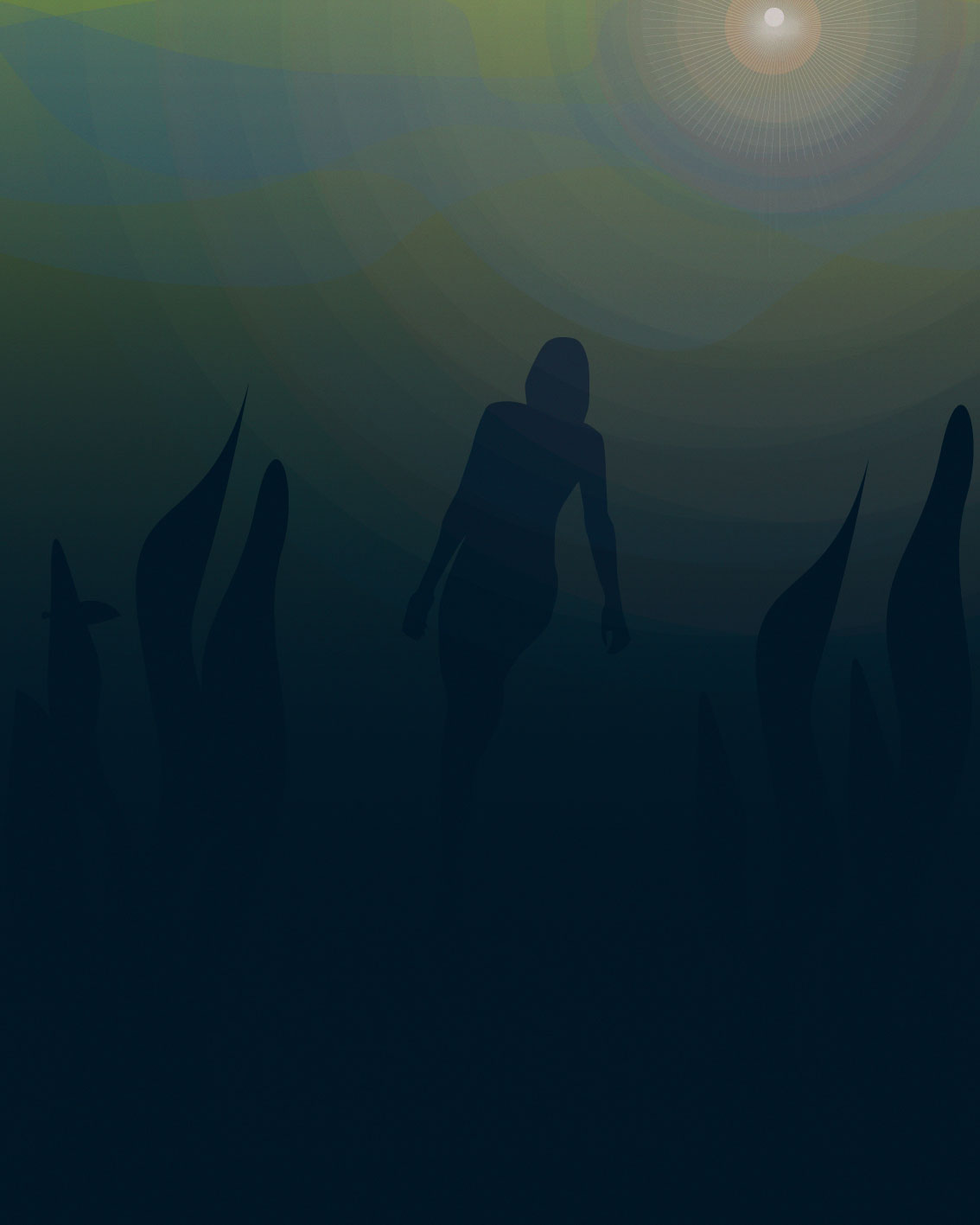 DIVE