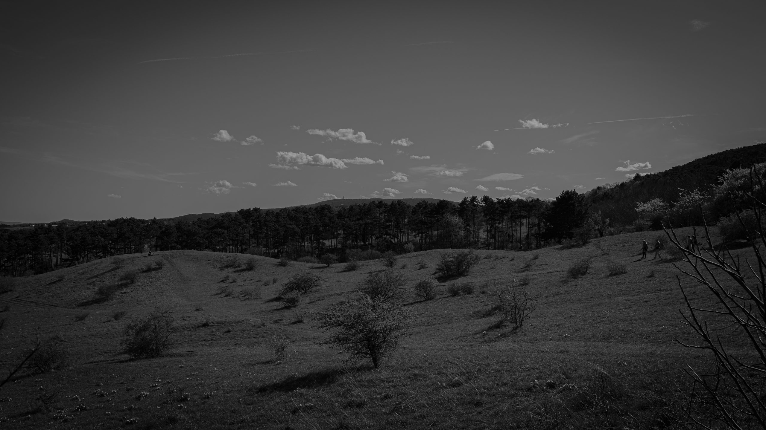 DSC05218